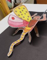 Détail - Insecte en relief