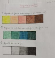Les dégradés - Adèle de 6A
